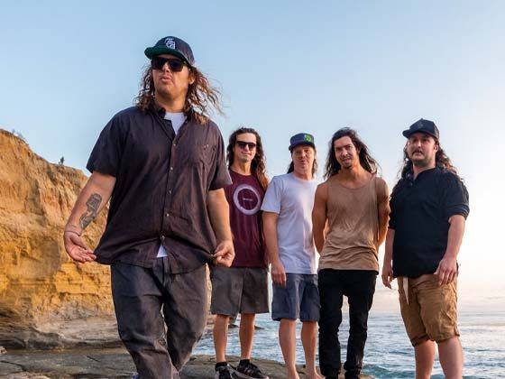 Kash'd Out, Beach Fly